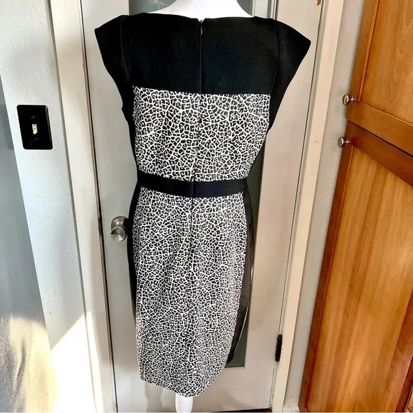 Adrianna Papell Leopard Animal Print Cocktail Dress Career Black White size 10 - Picture 7 of 14